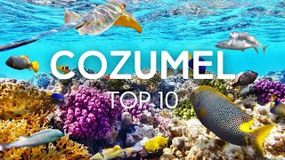 Top 10 Things to do in Cozumel Mexico [upl. by Kara635]