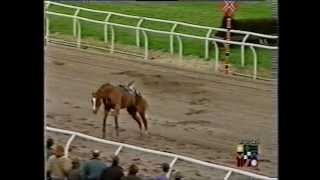 Scary Incident at Southwell Racecourse [upl. by Aneelas]