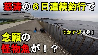 【神奈川県某所】怒涛の6日連続釣行で初夏の怪物魚が！？梅雨入りした時期に、関東地方の三浦半島の東京湾側の釣り場周辺で、とあるターゲットの調査釣行を数日間掛けてしてみたら…！【2023年67月】 [upl. by Neelahtak]