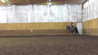 Dressage  Level 2 Test 1 [upl. by Opalina]