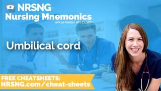 Umbilical cord Nursing Mnemonics Nursing School Study Tips [upl. by Hanfurd]