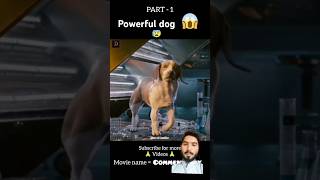 Powerfull dog full movie explain shorts foryou explaind ytshots movieexplainedinhindi [upl. by Barraza]