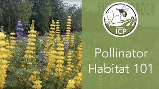 Pollinator Habitat 101 Incorporating Flowers on Farms to Support Bees [upl. by Ademla]