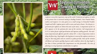 Soybean cultivation [upl. by Melamed]