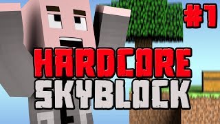 Minecraft HARDCORE Skyblock  Episode 1  OVER ALREADY [upl. by Millisent666]