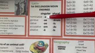 CC CYCLE 1 WEEK 3 LATIN 1st declension noun endings [upl. by Annotahs354]