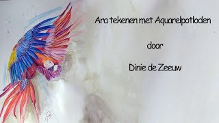 tekenen en schilderen met Aquarelpotloden [upl. by Inod]