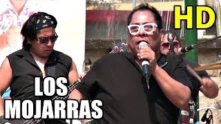 LOS MOJARRAS  TRICICLO PERU  En Vivo  Concierto [upl. by Ciro421]