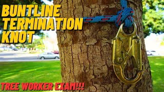 Arborist Explains How to Tie a Buntline Termination Knot [upl. by Modla775]