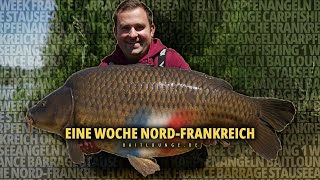 Eine Woche Nordfrankreich 🇫🇷🎣🐋  Karpfenangeln  Carpfishing  Baitlounge  Boilies  Flachlandsee [upl. by Adihsar]