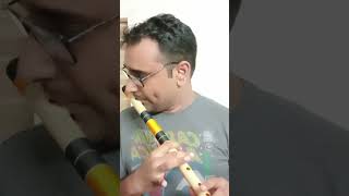 Mounamelanoyi Song on Flute [upl. by Carlos]