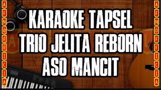 KARAOKE TAPSEL ASO MANCIT  TRIO JELITA REBORN [upl. by Lekcim]