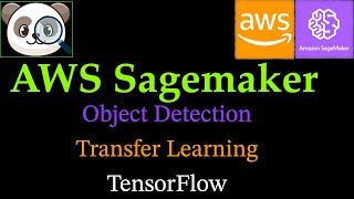 AWS Sagemaker Course  Object Detection TensorFlow Transfer Learning [upl. by Atinihs]