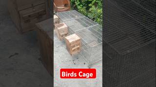 Beautiful 2x5 feet Birds Cage best for flying birds cage birdscage birdslover shorts [upl. by Jennee]