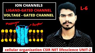 ion channelsligand or voltage gated channelL6 [upl. by Danie]