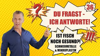 Schwermetalle amp Mikroplastik Ist FISCH noch gesund DU FRAGST ICH ANTWORTE  Nr 36 [upl. by Javler827]