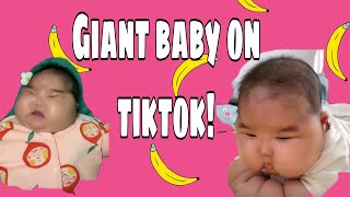 Giant baby on tiktokSuper fat cute baby 2020 [upl. by Anirtruc]