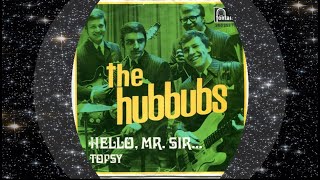 The Hubbubs 1969 Hello Mr Sir [upl. by Arola164]