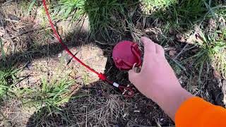 Dog Tie out Cable amp Stake  Honest Review [upl. by Gratia]