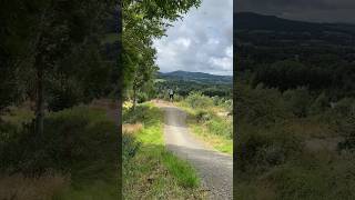 Glentress Black Taster Trail  Awesome Jump line 🙌 [upl. by Acirret]