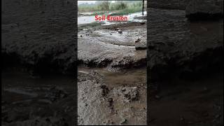 Weathering and Erosionbiologyshort video।science।soil [upl. by Dor]