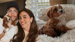 Vlog 68 We got a puppy 🐶🤎 [upl. by Moulton639]