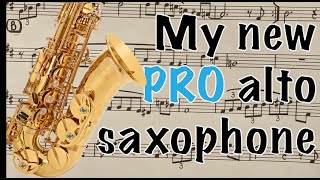 I finally got a PRO SAXOPHONE  Yanagisawa AW01 Alto  Sax amp Son [upl. by Gelasius]