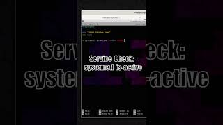 Basic Bash Scripting Check if Service is Running begginers bash bashscripting sysadmin [upl. by Aisatsan549]