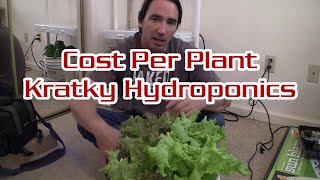 Kratky Hydroponic Cost Breakdown Per Plant [upl. by Krm]