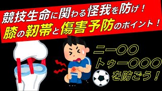 【怪我予防】膝の靭帯の種類と予防法！ [upl. by Peti]