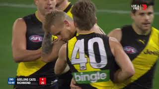 Qualifying Final 2  Geelong v Richmond Highlights [upl. by Worthy]