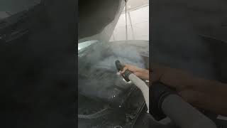 Engine cleaning with Steam wash [upl. by Secor564]