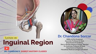 Lecture On Inguinal Region [upl. by Swain115]