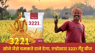 एग्रोस्टार 3221 गेँहू बीज चुनिए शानदार उपज पाएं agrostar wheat gehu [upl. by Maier191]