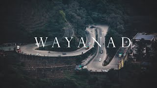 A Trip to Wayanad  Kerala Tourism  4K UHD [upl. by Ydissahc313]