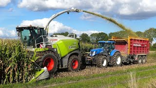 Mais hakselen 2022 Claas Jaguar 950 Loonb Sportel Midwolda [upl. by Mathilde359]