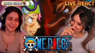 THE GOAT OF ONE PIECE RETURNS  One Piece Episode 1113 Live React [upl. by Leahcam120]