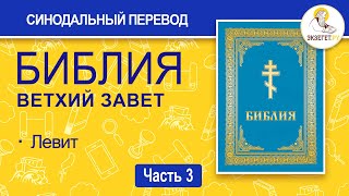 БИБЛИЯ Ветхий Завет Синодальный перевод Часть 3 [upl. by Aynotahs]