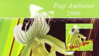 Markus Guentner  Baghira Pop Ambient 2006 Album [upl. by Nomad]