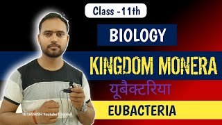 Eubacteria Class 11  युबैक्टेरिया  Eubacteria kya hai  BIOLOGICAL CLASSIFICATION  Cyanobacteria [upl. by Nosnek]