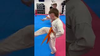 Kanzen Belt Test  inspiring to see all ages and grades this weekend karate martialarts [upl. by Doownyl]