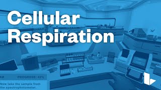 Learn Science Smarter – Cellular Respiration – Labster [upl. by Llemar29]