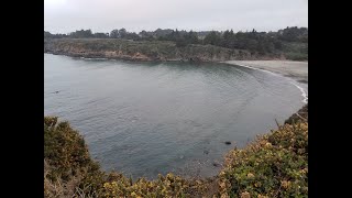 Urchin Culling Caspar Cove Fort Bragg CA  Scuba Diving Abalone Surprise [upl. by Berte]