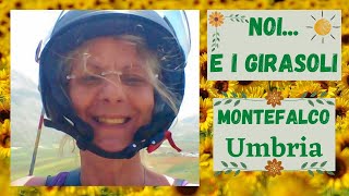 MONTEFALCO UMBRIA NOI E I GIRASOLI  PAOLA COLLURA [upl. by Eniretak]