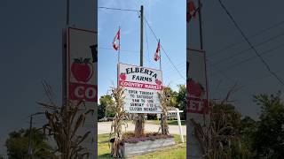 Visit Elberta Farms farmstand farmmarket ontario ontariocanada eatlocal canada torontofood [upl. by Decrem81]