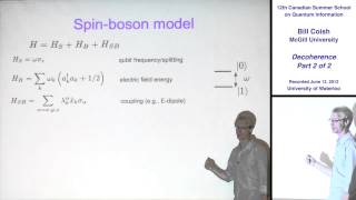 Bill Coish  Decoherence Part 2  CSSQI 2012 [upl. by Tower]