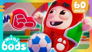 Hey Sports Fans ⚽  🌈 Minibods 🌈  Preschool Cartoons for Toddlers [upl. by Annanhoj572]