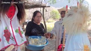 San Miguel Zapotitlan semana santa judios 2018 Jueves Santo 313 [upl. by Almeria]