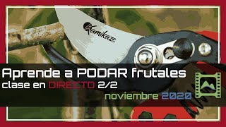 Te enseño Cómo PODAR ✂🌳 árboles frutales en DIRECTO vídeo 22 Noviembre 2020  LdN [upl. by Jennine]