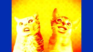 preview 2 Numa Cat V16 Effects Effects [upl. by Yrallam978]